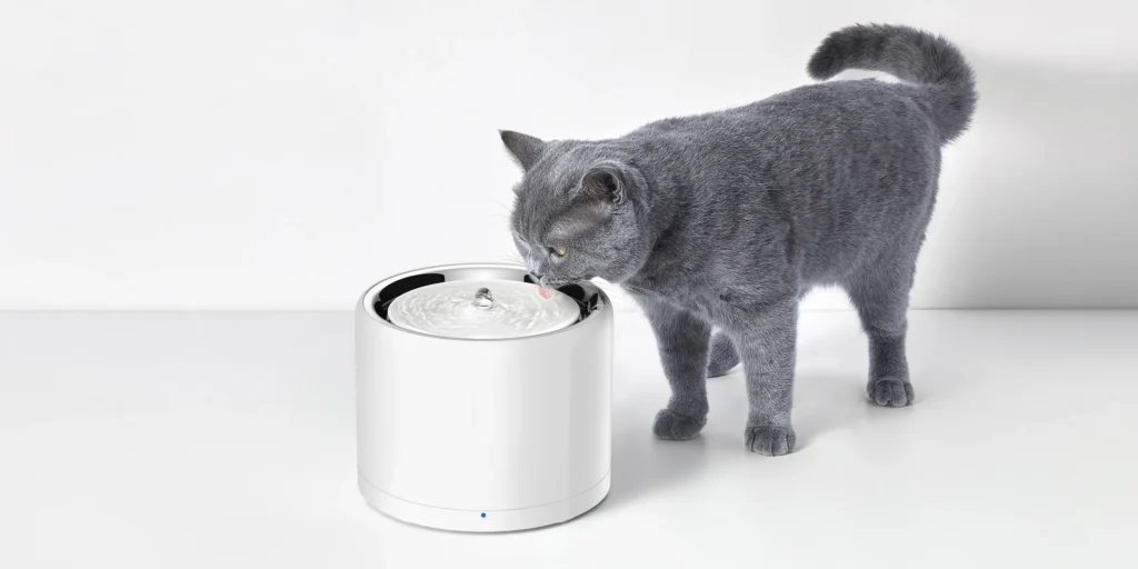 Petkit Eversweet 3 Pro Review