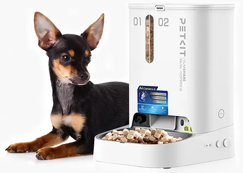 Best smart dog feeder - PETKIT YumShare review