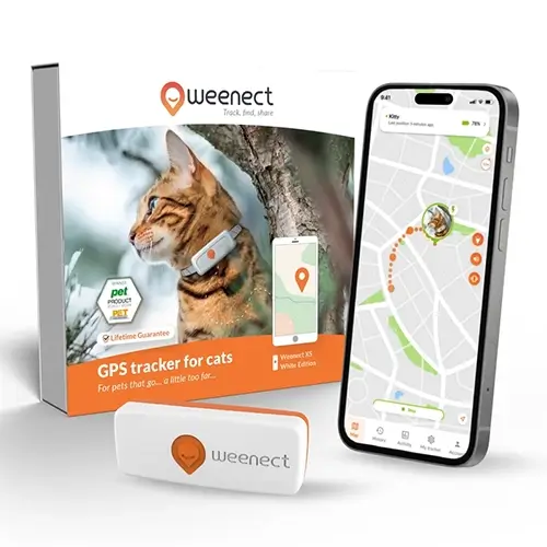 Best GPS Cat Trackers 2026