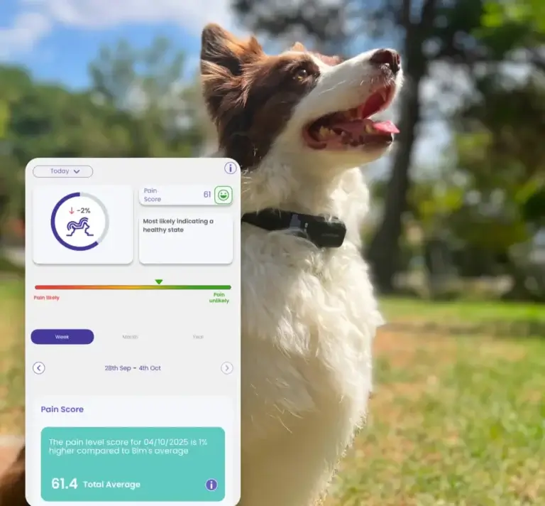 AI pet health monitor